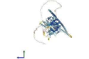 Protein Structure (PS) image for TBC1 Domain Family, Member 2 (TBC1D2) (AA 1-928) protein (His tag) (ABIN7555752)