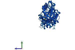 AlphaFold protein structure predicition of Mouse Recombinant Ttc5 Protein, UniprotID Q99LG4 (TTC5 Protein (AA 1-440) (His tag))