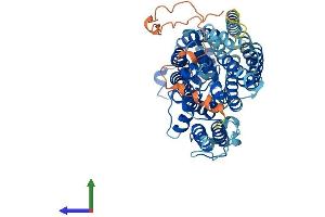 Protein Structure (PS) image for High Affinity Choline Transporter (ChT) (AA 1-580) protein (His tag) (ABIN7545908)