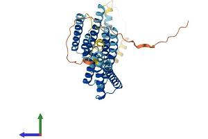 AlphaFold protein structure predicition of Mouse Recombinant Tmem26 Protein, UniprotID Q3UP23 (TMEM26 Protein (AA 1-366) (His tag))