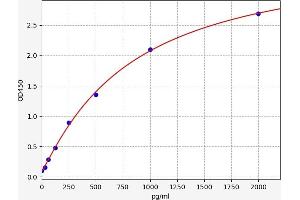 TBK1 ELISA Kit