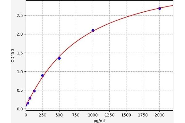 TBK1 ELISA Kit