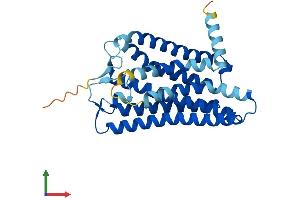 AlphaFold protein structure predicition of Human Recombinant OR10H2 Protein, UniprotID O60403