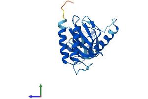 Protein Structure (PS) image for Trafficking Protein Particle Complex 4 (TRAPPC4) (AA 1-219) protein (His tag) (ABIN7544732)