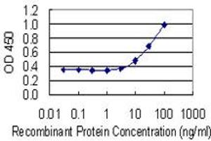 Detection limit for recombinant GST tagged GLO1 is 1 ng/ml as a capture antibody. (GLO1 antibody  (AA 1-98))