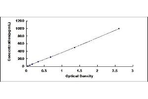 Typical standard curve (FGF2 ELISA Kit)