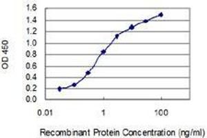 Detection limit for recombinant GST tagged F2 is 0. (Prothrombin antibody  (AA 263-362))