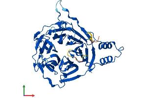AlphaFold protein structure predicition of Mouse Recombinant Klhdc3 Protein, UniprotID Q8VEM9