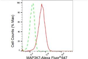 Flow cytometric analysis of MAP3K7 expression in HeLa cells using MAP3K7 antibody (ABIN7799473), 1:2,000).