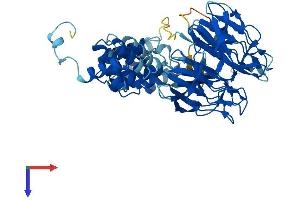 AlphaFold protein structure predicition of Human Recombinant KLHL33 Protein, UniprotID A6NCF5