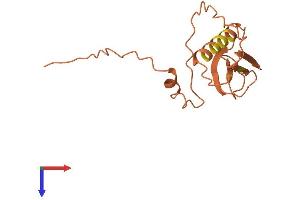 AlphaFold protein structure predicition of Human Recombinant LINC00479 Protein, UniprotID Q96M42