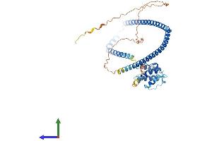 AlphaFold protein structure predicition of Mouse Recombinant Cluap1 Protein, UniprotID Q8R3P7 (CLUAP1 Protein (AA 1-413) (His tag))