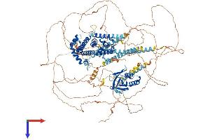 Calmodulin Regulated Spectrin-Associated Protein Family, Member 3 (CAMSAP3) (AA 1-1249) protein (His tag)