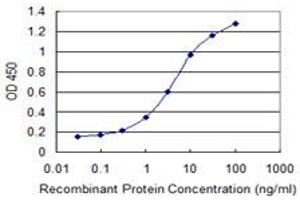 Detection limit for recombinant GST tagged E4F1 is 0. (E4F1 antibody  (AA 685-784))