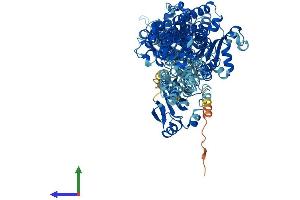 AlphaFold protein structure predicition of Human Recombinant ATP1A3 Protein, UniprotID P13637 (ATP1A3 Protein (AA 1-1013) (His tag))