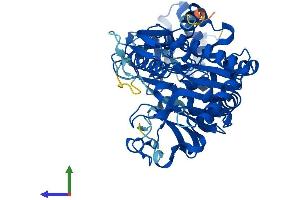 AlphaFold protein structure predicition of Human Recombinant UAP1L1 Protein, UniprotID Q3KQV9 (UAP1L1 Protein (AA 1-507) (His tag))