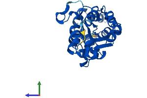 AlphaFold protein structure predicition of Mouse Recombinant Hdhd3 Protein, UniprotID Q9CYW4