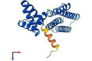 PDCD10 Protein (AA 1-212) (His tag)