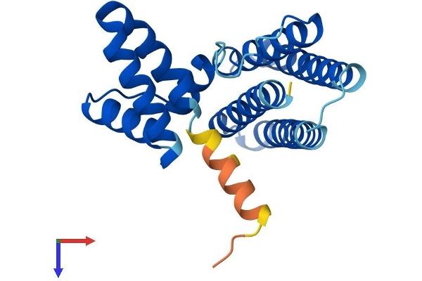 PDCD10 Protein (AA 1-212) (His tag)