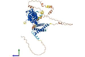 AlphaFold protein structure predicition of Mouse Recombinant Tom1 Protein, UniprotID O88746
