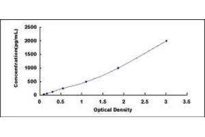 Typical standard curve (14-3-3 sigma/SFN ELISA Kit)