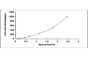 Typical standard curve (IL-21 ELISA Kit)