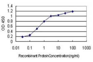 Detection limit for recombinant GST tagged TSC22D3 is approximately 0. (TSC22D3 antibody  (AA 1-97))