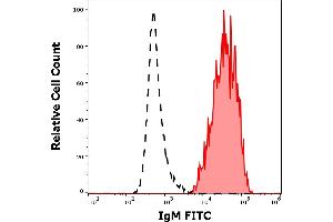 Separation of human IgM positive CD19 positive B-cells (red-filled) from IgM negative CD19 negative lymphocytes (black-dashed) in flow cytometry analysis (surface staining) of human peripheral whole blood stained using anti-human IgM (CH2) FITC antibody (concentration in sample 1 μg/mL). (Mouse anti-Human IgM Antibody (FITC))