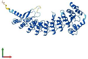 AlphaFold protein structure predicition of Mouse Recombinant Asb4 Protein, UniprotID Q9WV71 (ASB4 Protein (AA 1-426) (His tag))