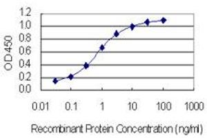 Detection limit for recombinant GST tagged CACNB4 is 0. (CACNB4 antibody  (AA 1-110))