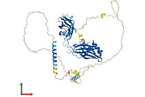 AlphaFold protein structure predicition of Human Recombinant SYT6 Protein, UniprotID Q5T7P8 (SYT6 Protein (AA 1-510) (His tag))