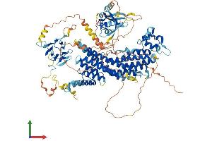 Protein Structure (PS) image for Ras Interacting Protein 1 (RASIP1) (AA 1-961) protein (His tag) (ABIN7563692)