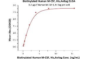Immobilized Human M-CSF R, Fc Tag (ABIN2180912,ABIN2180911) at 2 μg/mL (100 μL/well) can bind Biotinylated Human M-CSF, His,Avitag (ABIN6386447,ABIN6388276) with a linear range of 0.