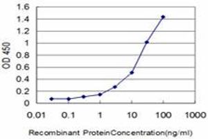 Detection limit for recombinant GST tagged ELF3 is approximately 0. (ELF3 antibody  (AA 262-371))
