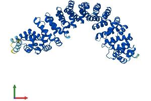 AlphaFold protein structure predicition of Human Recombinant RAP1GDS1 Protein, UniprotID P52306