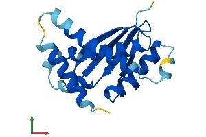 Protein Structure (PS) image for Trafficking Protein Particle Complex 6A (TRAPPC6A) (AA 1-159) protein (His tag) (ABIN7544544)