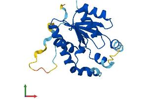 AlphaFold protein structure predicition of Mouse Recombinant Idnk Protein, UniprotID Q8R0J8 (IdnK Protein (AA 1-184) (His tag))