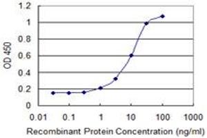 Detection limit for recombinant GST tagged ITGB1BP1 is 0. (ITGB1BP1 antibody  (AA 1-200))