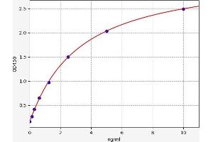 HNF1A ELISA Kit