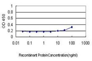 Detection limit for recombinant GST tagged BAD is approximately 30ng/ml as a capture antibody. (BAD antibody  (AA 69-168))