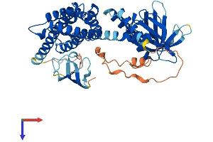 AlphaFold protein structure predicition of Mouse Recombinant Arhgef4 Protein, UniprotID Q7TNR9 (ARHGEF4 Protein (AA 1-484) (His tag))