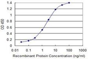 Detection limit for recombinant GST tagged GATA3 is 0. (GATA3 antibody  (AA 103-200))