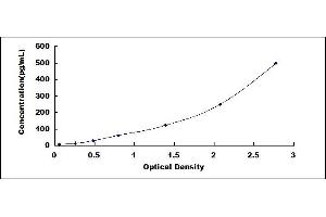 Typical standard curve (CCL21 ELISA Kit)