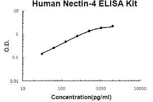 Human Nectin-4 PicoKine ELISA Kit standard curve (PVRL4 ELISA Kit)
