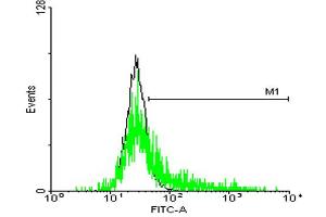 FACS analysis of negative control 293 cells (Black) and SSR1 expressing 293 cells (Green) using SSR1 purified MaxPab mouse polyclonal antibody. (SSR1 antibody  (AA 1-286))
