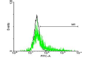FACS analysis of negative control 293 cells (Black) and SSR1 expressing 293 cells (Green) using SSR1 purified MaxPab mouse polyclonal antibody.