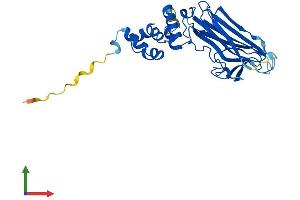 AlphaFold protein structure predicition of Human Recombinant FBXO17 Protein, UniprotID Q96EF6
