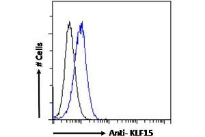 ABIN184761 Flow cytometric analysis of paraformaldehyde fixed HepG2 cells (blue line), permeabilized with 0. (KLF15 antibody  (N-Term))