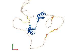 AlphaFold protein structure predicition of Mouse Recombinant Pax9 Protein, UniprotID P47242 (PAX9 Protein (AA 1-342) (His tag))