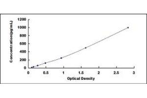Typical standard curve (MMP7 ELISA Kit)